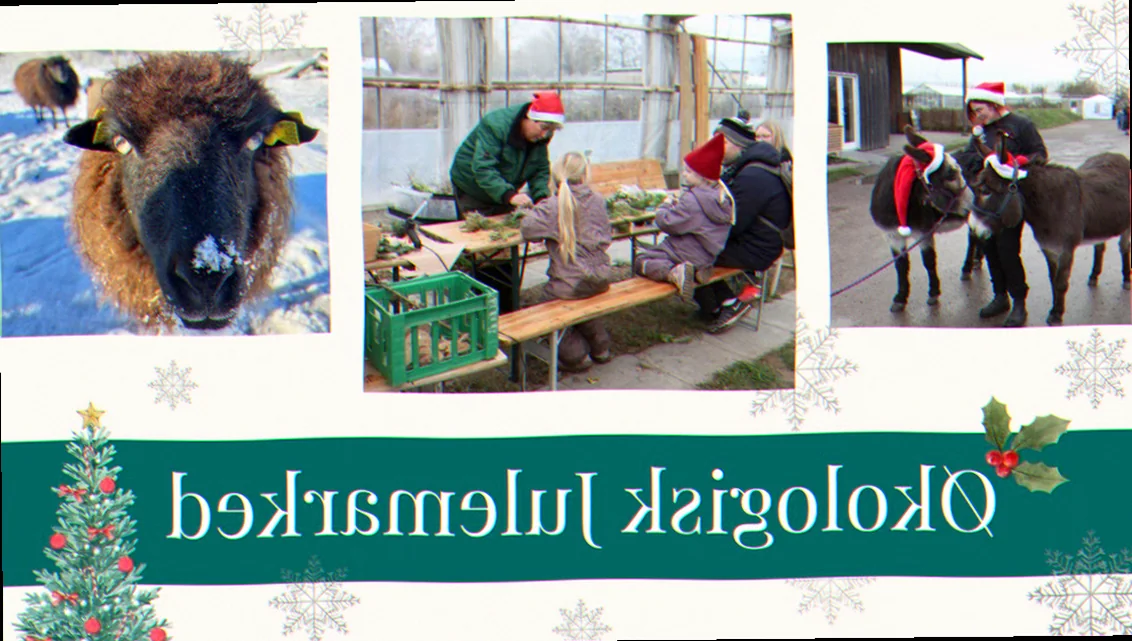 Bæredygtige julegaver og økologiske varer